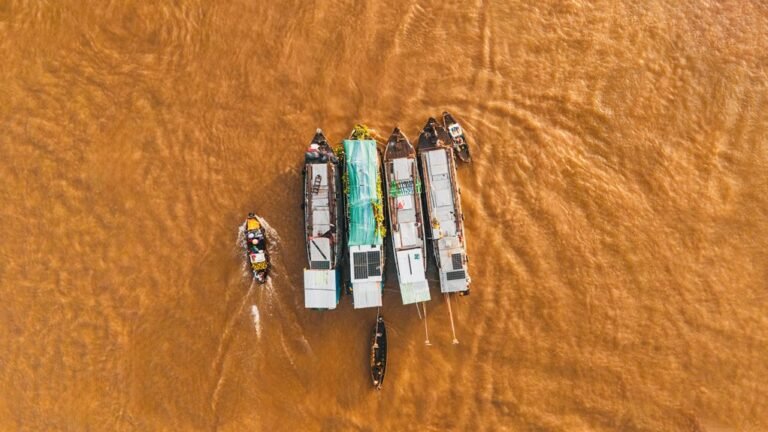 market activity analysis report